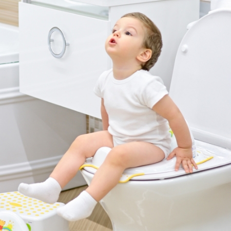 Picture for category Toilet Trainers