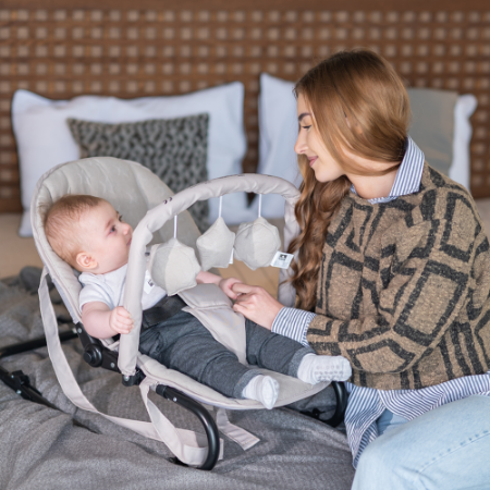 Picture for category Baby Rockers