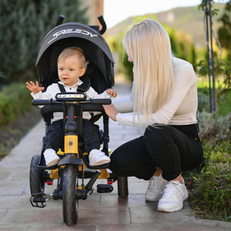 Picture for category Tricycles